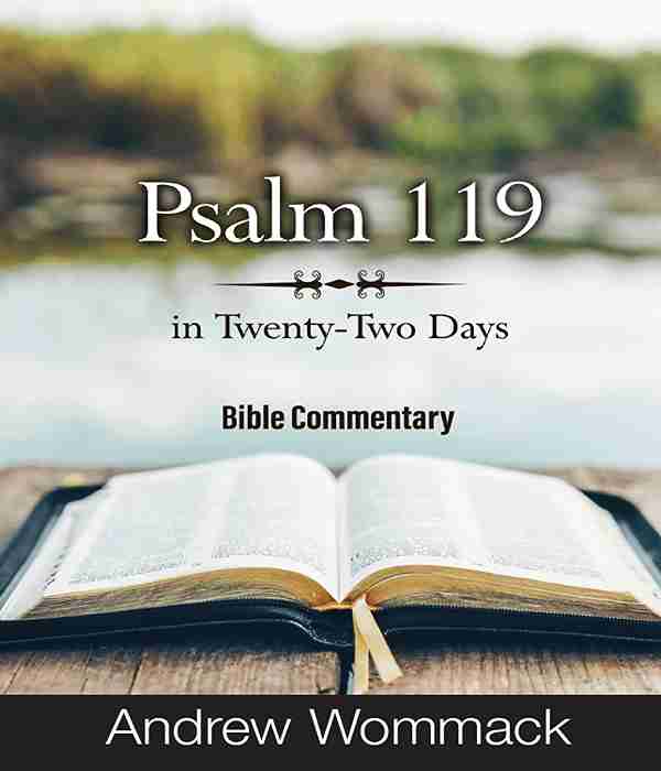 Psalm 119: in Twenty-Two Days (ENGLISH)