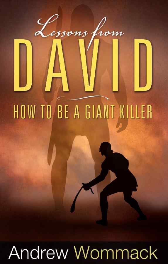 Lessons From David (English) 339
